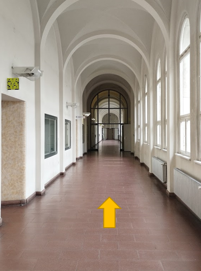 Picture1b5.png